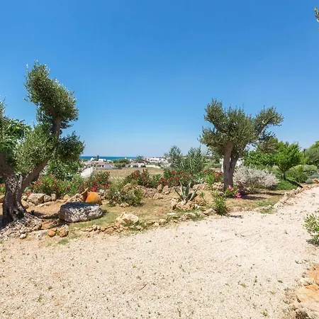 Tenuta 